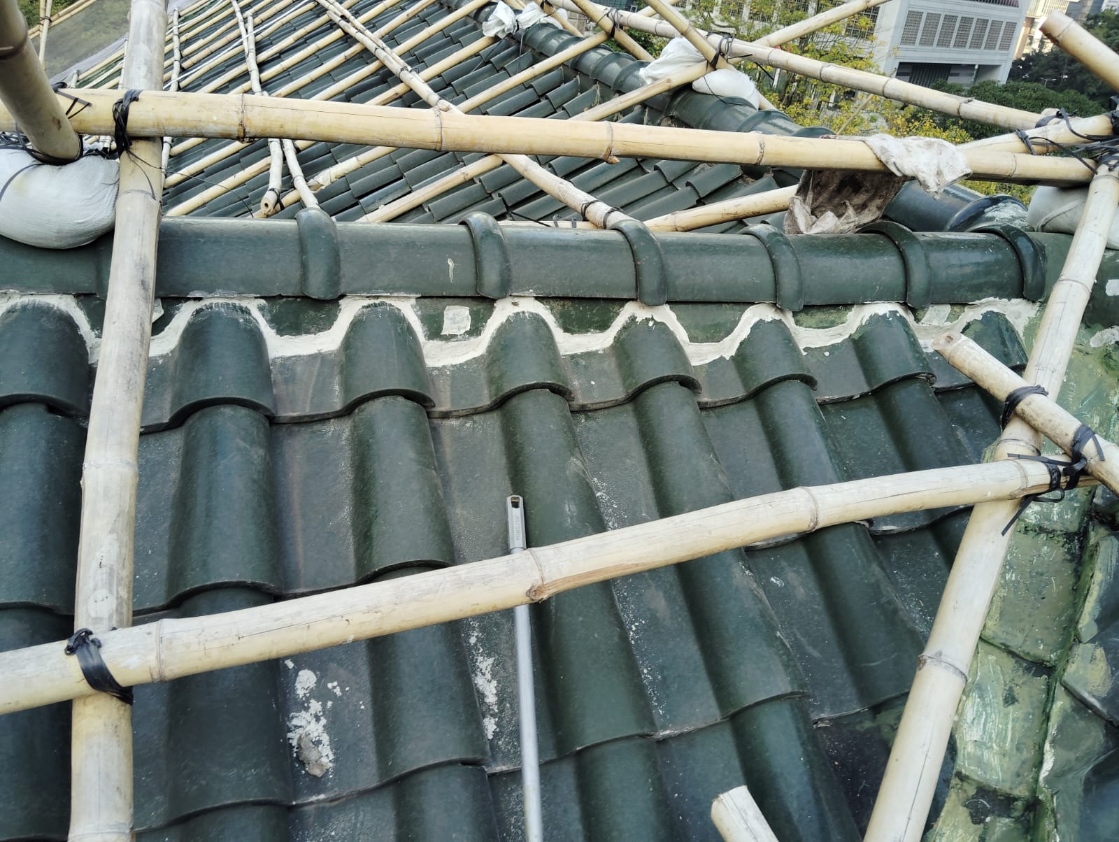 PHOTO-2023-12-30-20-29-09 (1)