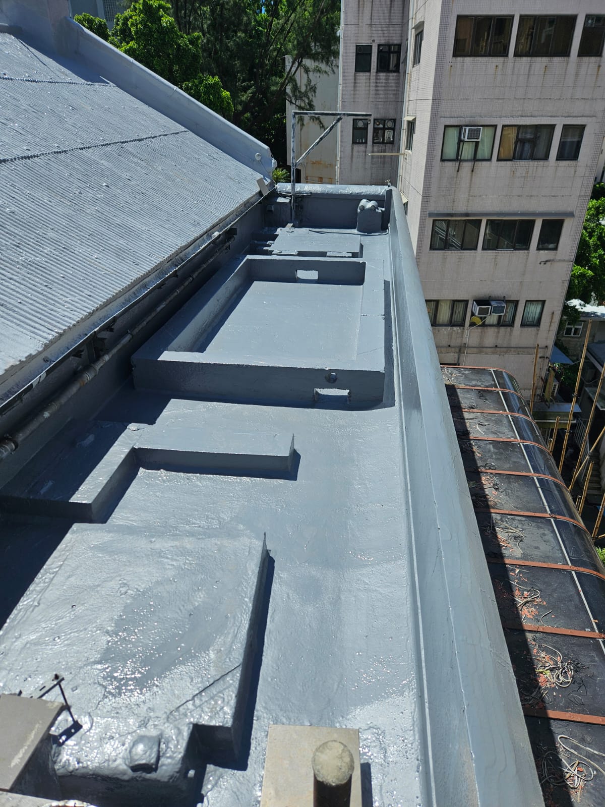 PHOTO-2024-07-03-13-31-12 (3)